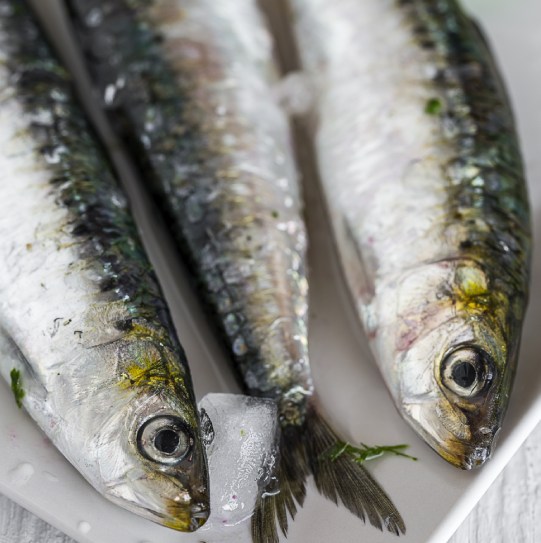 sardinas congeladas enteras